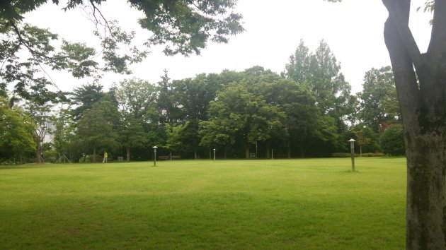 常緑公園の風景